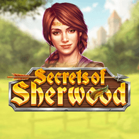 Secrets of Sherwood screenshot
